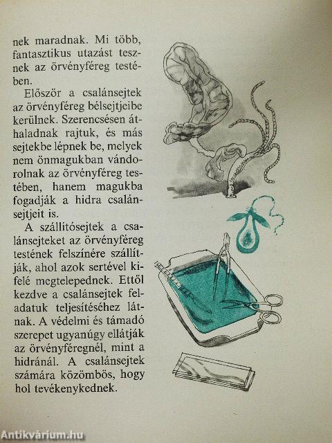 A látható láthatatlan