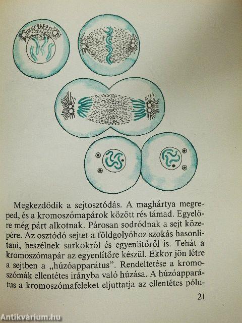 A látható láthatatlan