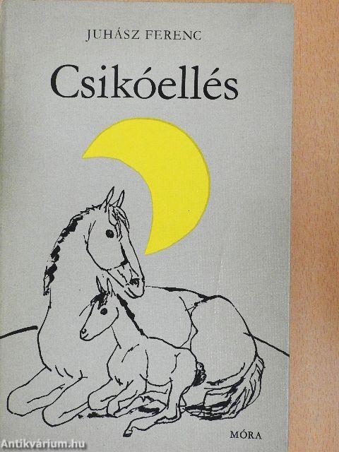 Csikóellés