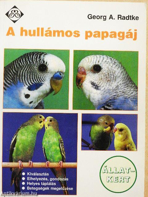 A hullámos papagáj