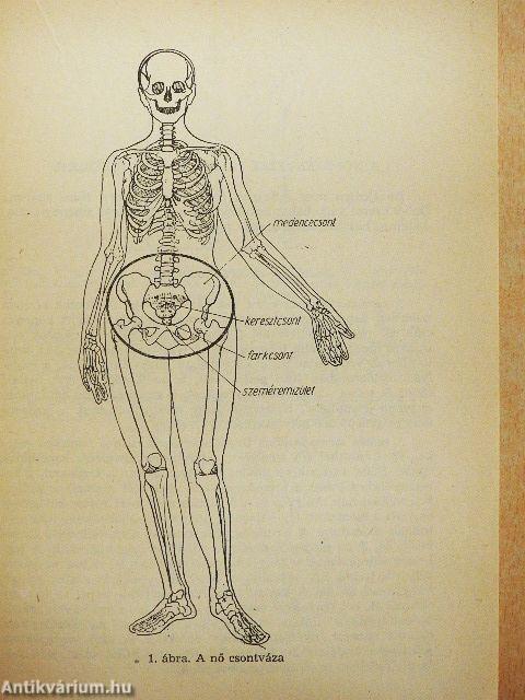 Szülőszoba, tessék belépni!