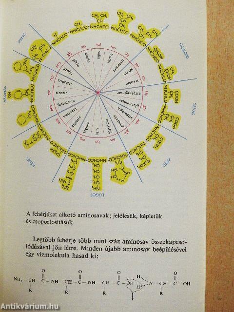 Az élet keletkezése