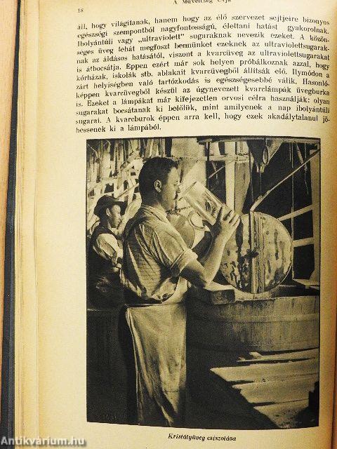 A műveltség útja XII.