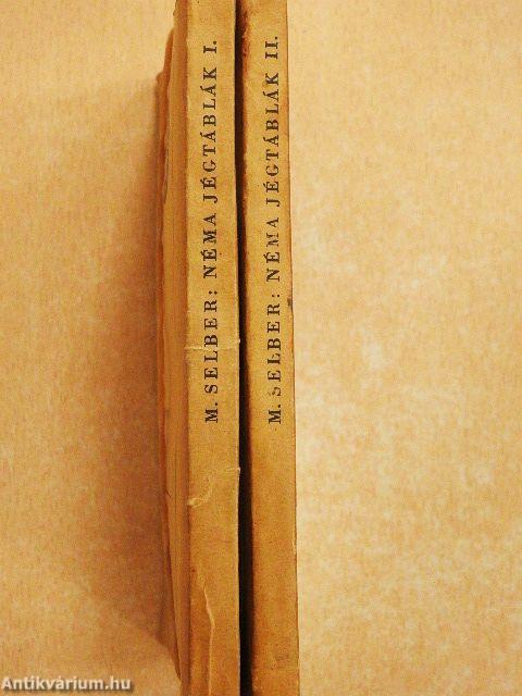 Néma jégtáblák I-II.