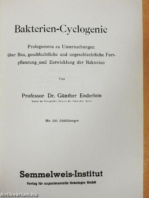 Bakterien-Cyclogenie