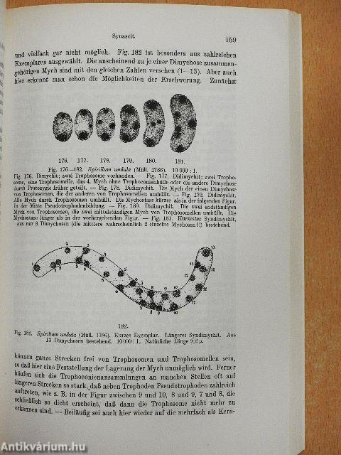 Bakterien-Cyclogenie