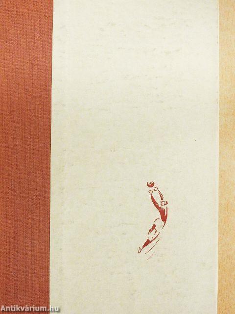 Így láttam a kapuból