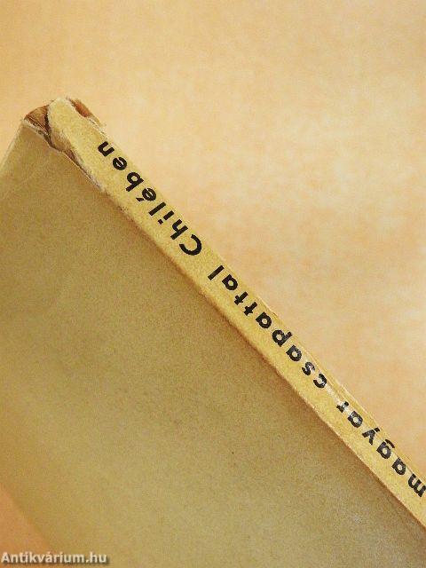 A magyar csapattal Chilében