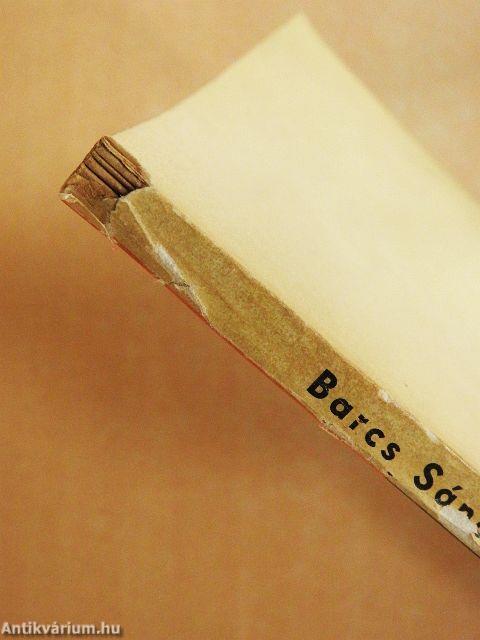 A magyar csapattal Chilében