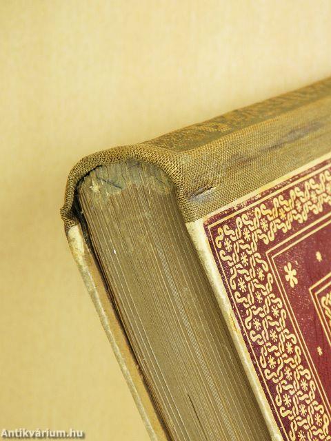 A renaissance mesterei
