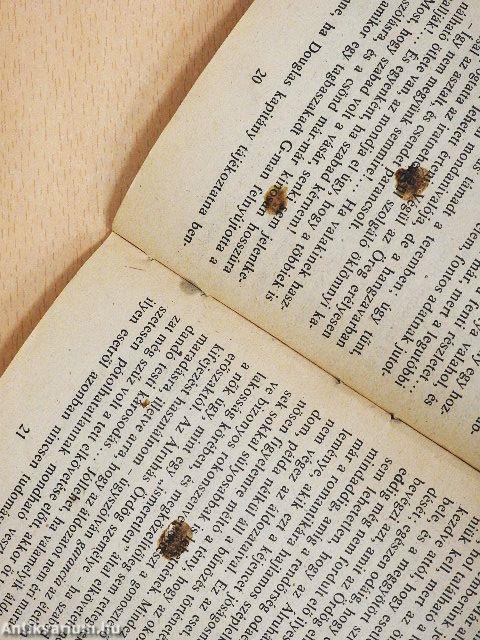 Az Álruhás Ördög