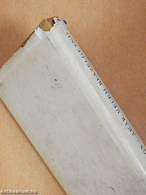 Akar velem beszélgetni?