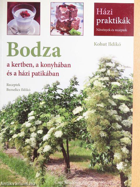 Bodza a kertben, a konyhában és a házi patikában
