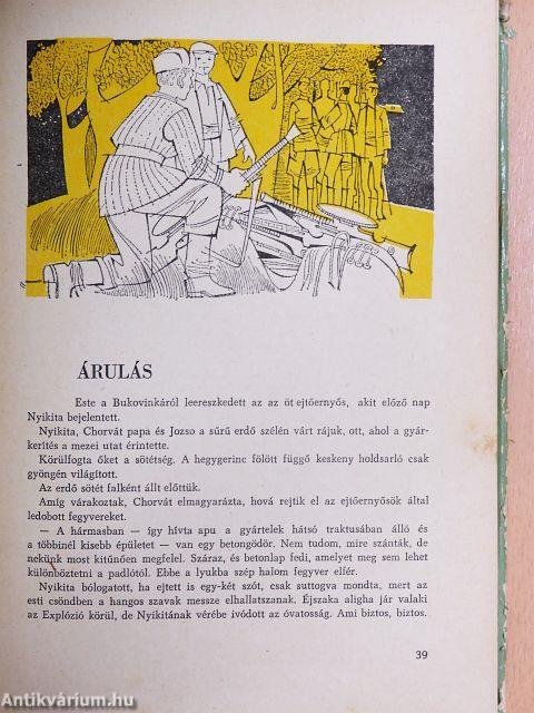 A hegyek titka