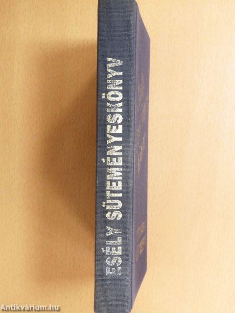 Esély süteményeskönyv