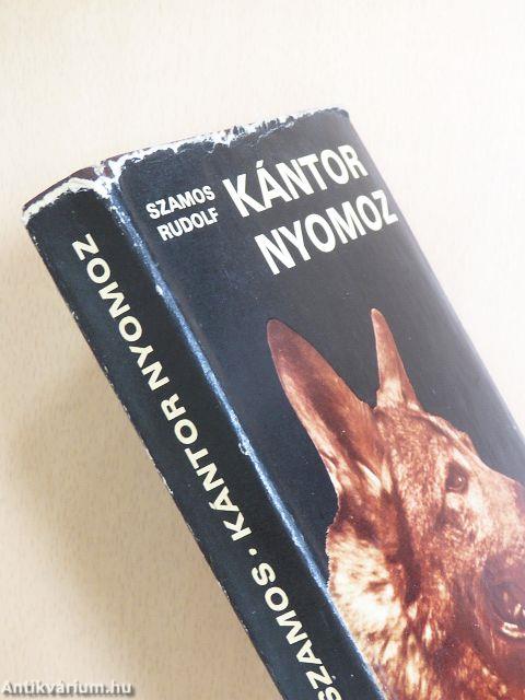 Kántor nyomoz