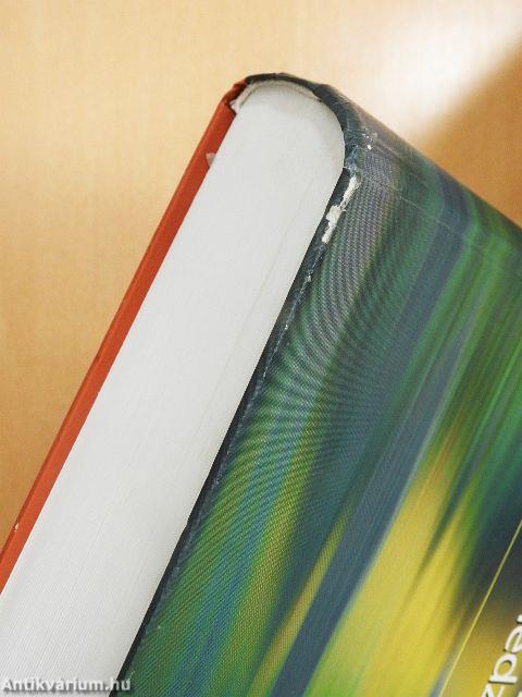 Marketing menedzsment