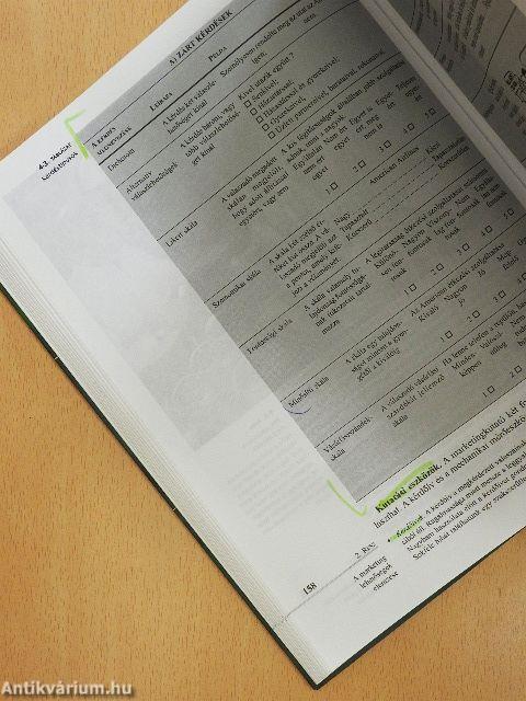 Marketing menedzsment