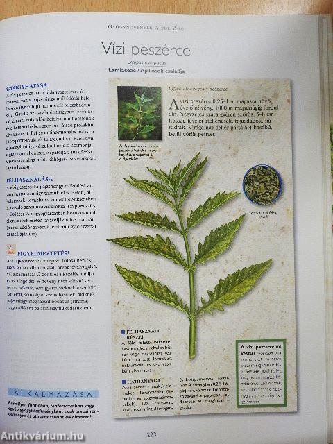 A természet füvészkertje