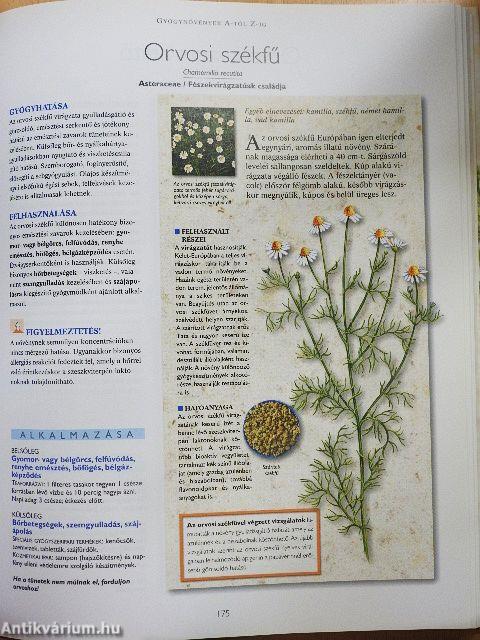 A természet füvészkertje