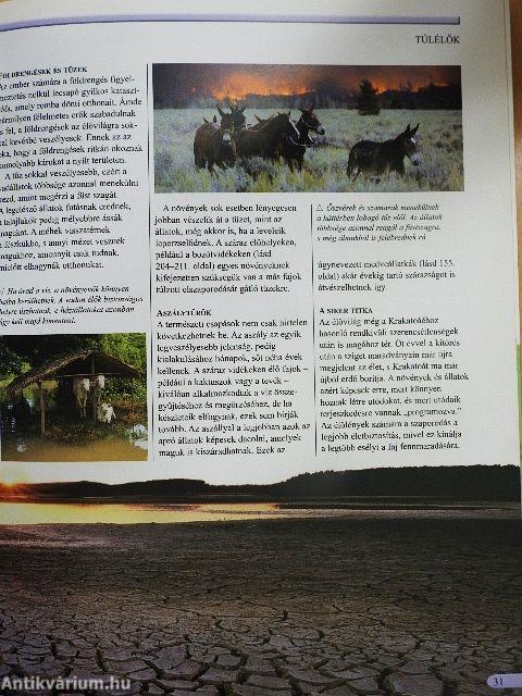 A természet enciklopédiája