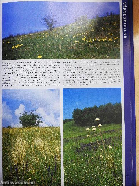 Magyarország száz csodája II.