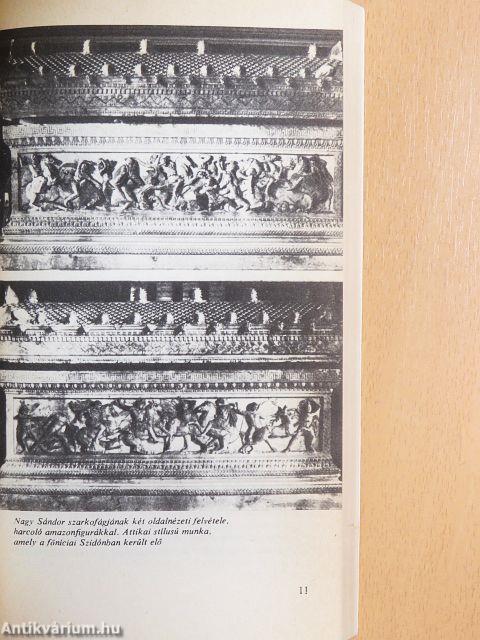 Az amazonok lázadása