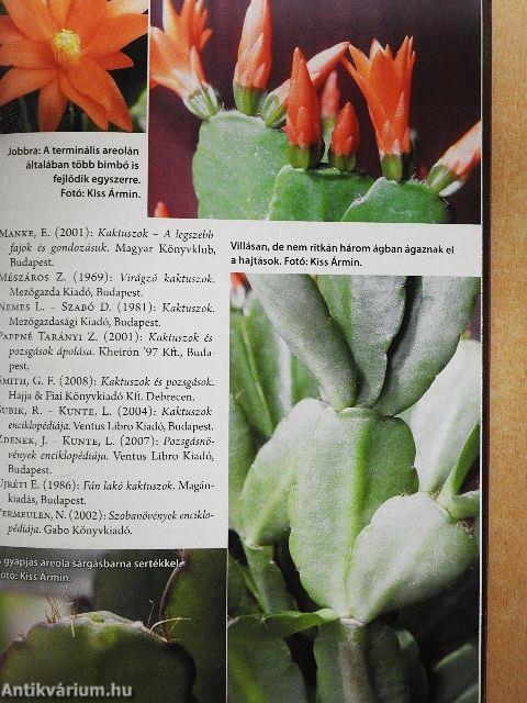Kaktusz-világ 2011. január-december