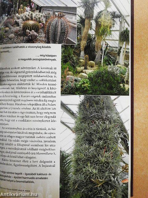 Kaktusz-világ 2011. január-december