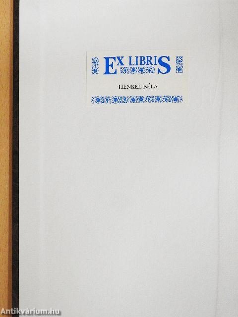 Kaktusz-világ 2007. január-december