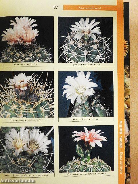 Arizona Cactus/Kaktusz-világ 2005. január-december/Kaktusy 2002/2./Bonsai magazin 1988. tavasz/Virágzó kövek/Kakteen und andere Sukkulenten Juni 2003/Kaktusz-világ 1988. 1-2., 4./Dísznövény 2003