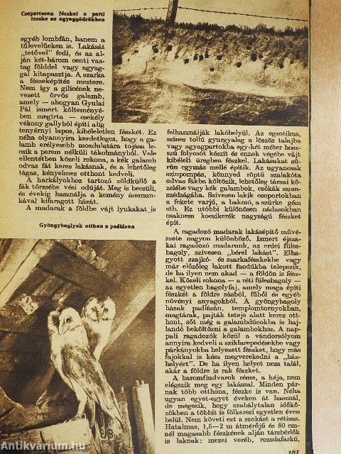 Élet és Tudomány 1962. (nem teljes évfolyam) I-II.