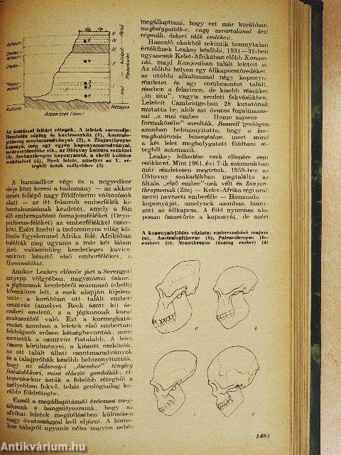 Élet és Tudomány 1962. (nem teljes évfolyam) I-II.