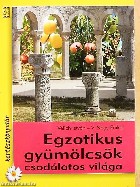 Egzotikus gyümölcsök csodálatos világa