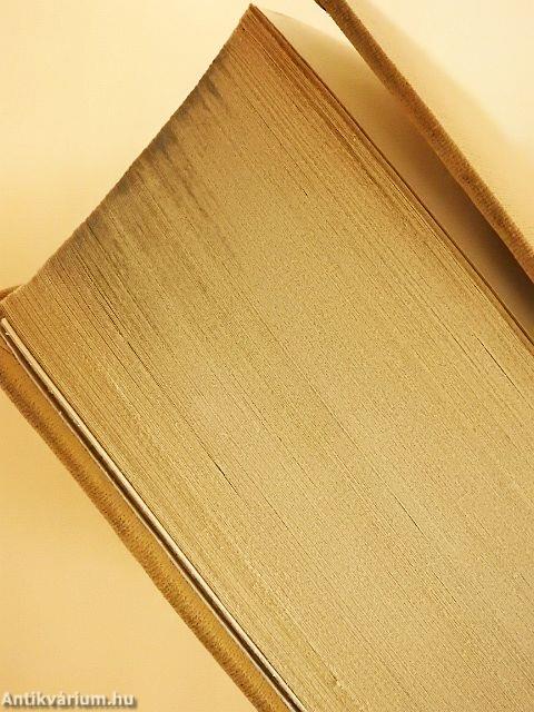 Spanyol-magyar kéziszótár