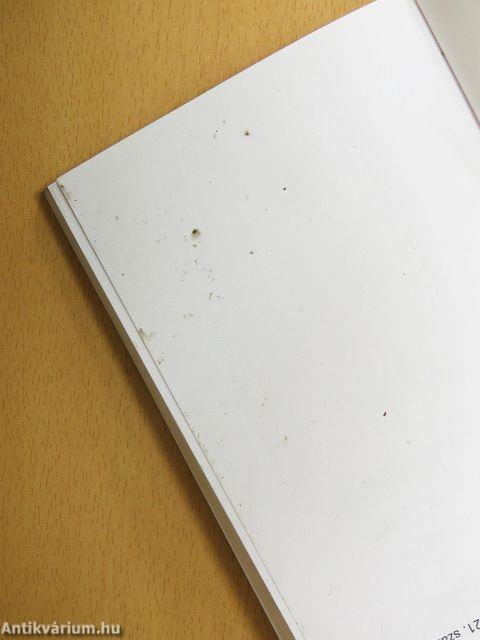 Miért Európa diktálja a lépést a 21. században?