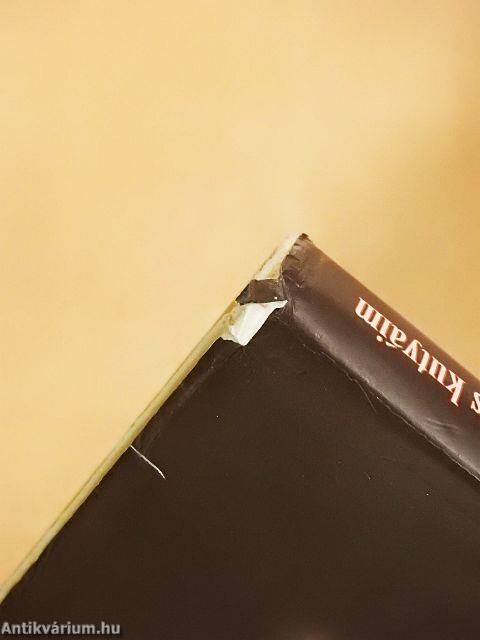 Megható történetek - Szerelmetes kutyáim