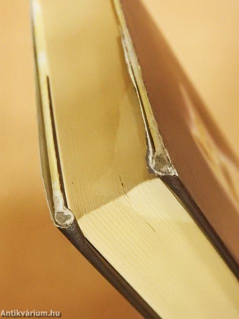 Megható történetek - Szerelmetes kutyáim