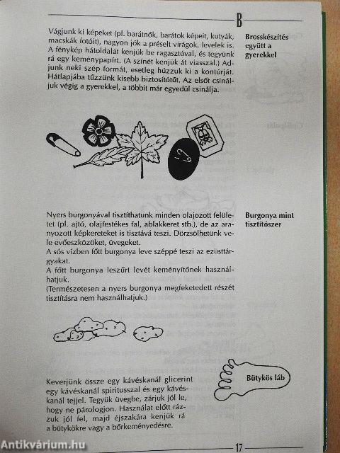 Praktikus háztartás