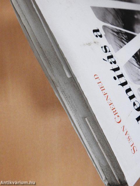 Identitás a XXI. században