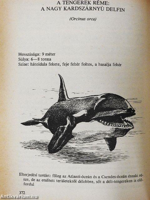 A vizek óriásai