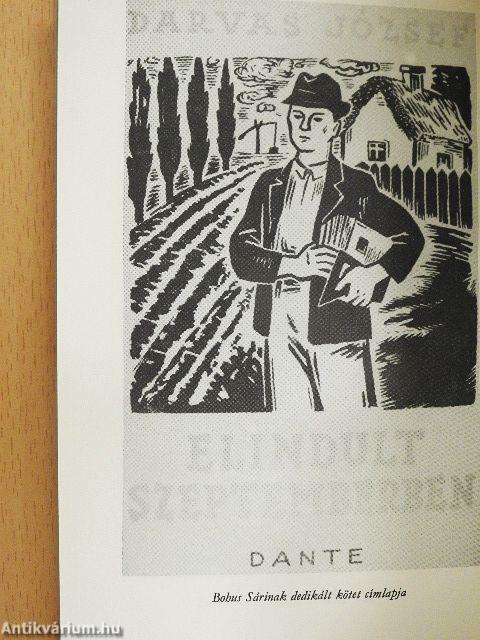 Darvas József ifjúkori levelei