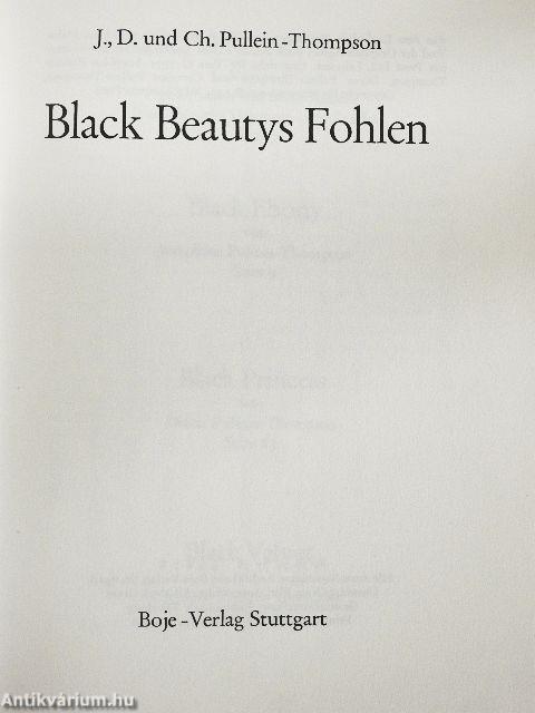 Black Beautys Fohlen