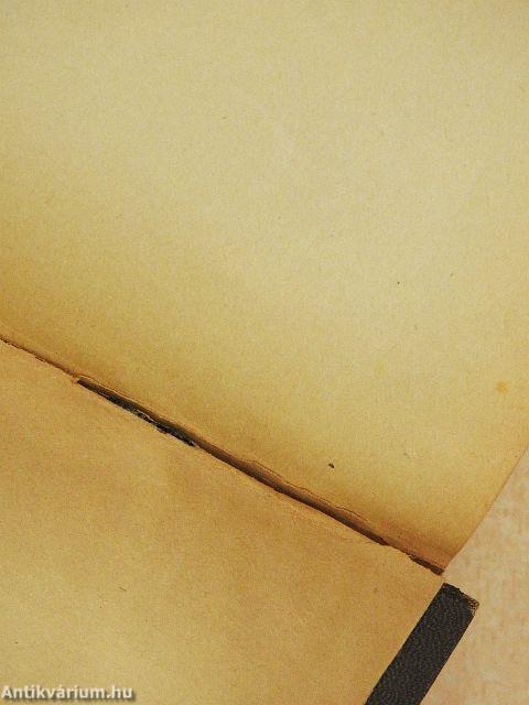 Világtörténelmi lexikon I-II.