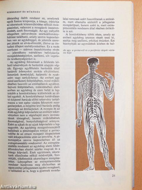 Orvos a családban