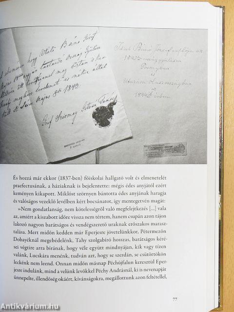 Családban a nemzet