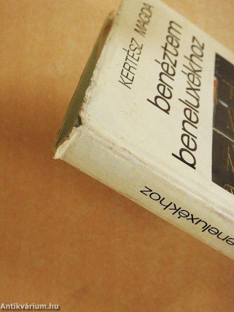 Benéztem Beneluxékhoz