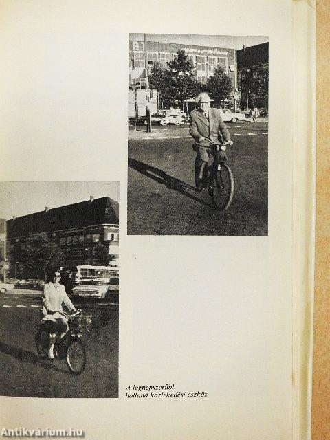 Benéztem Beneluxékhoz