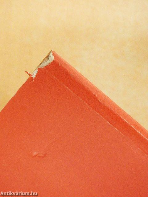 Szülőföldön hontalanul