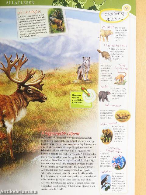 Tudorka Magazin 117.